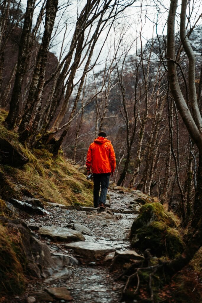 Walker in an orange jacket on a forest trail