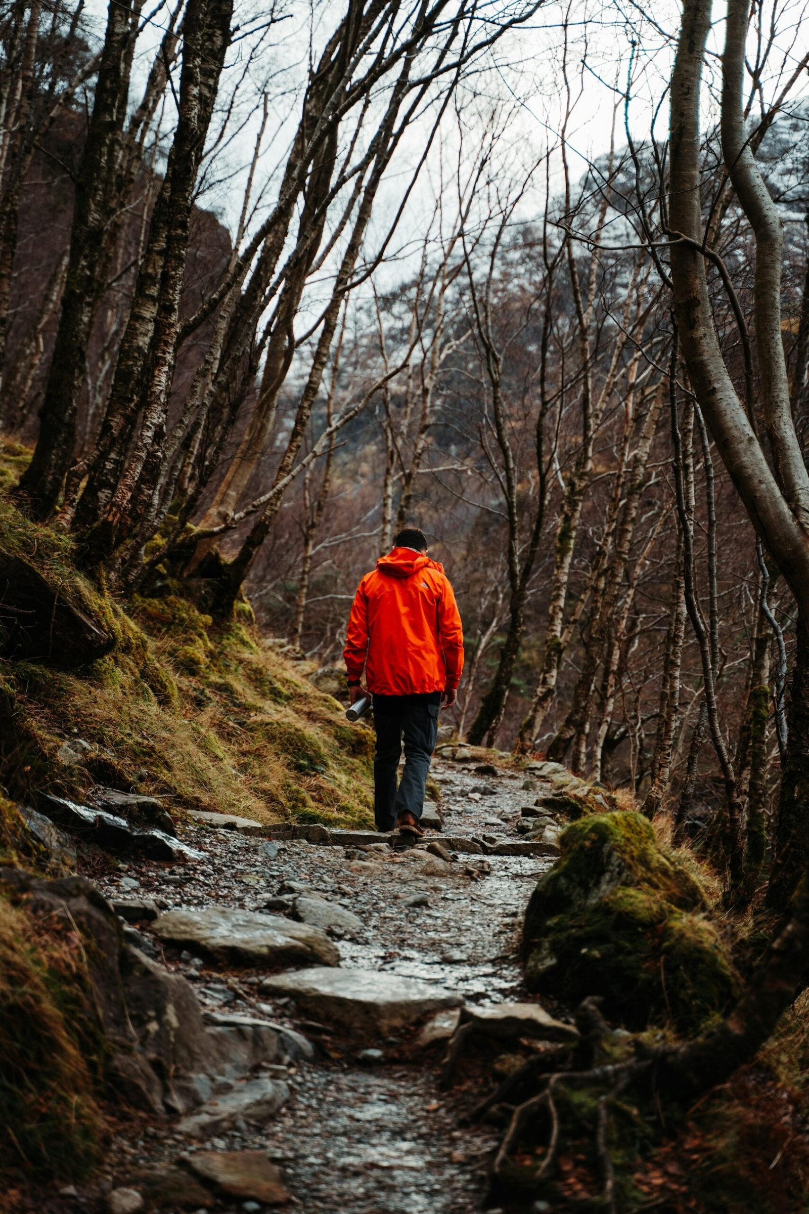 Walker in an orange jacket on a forest trail