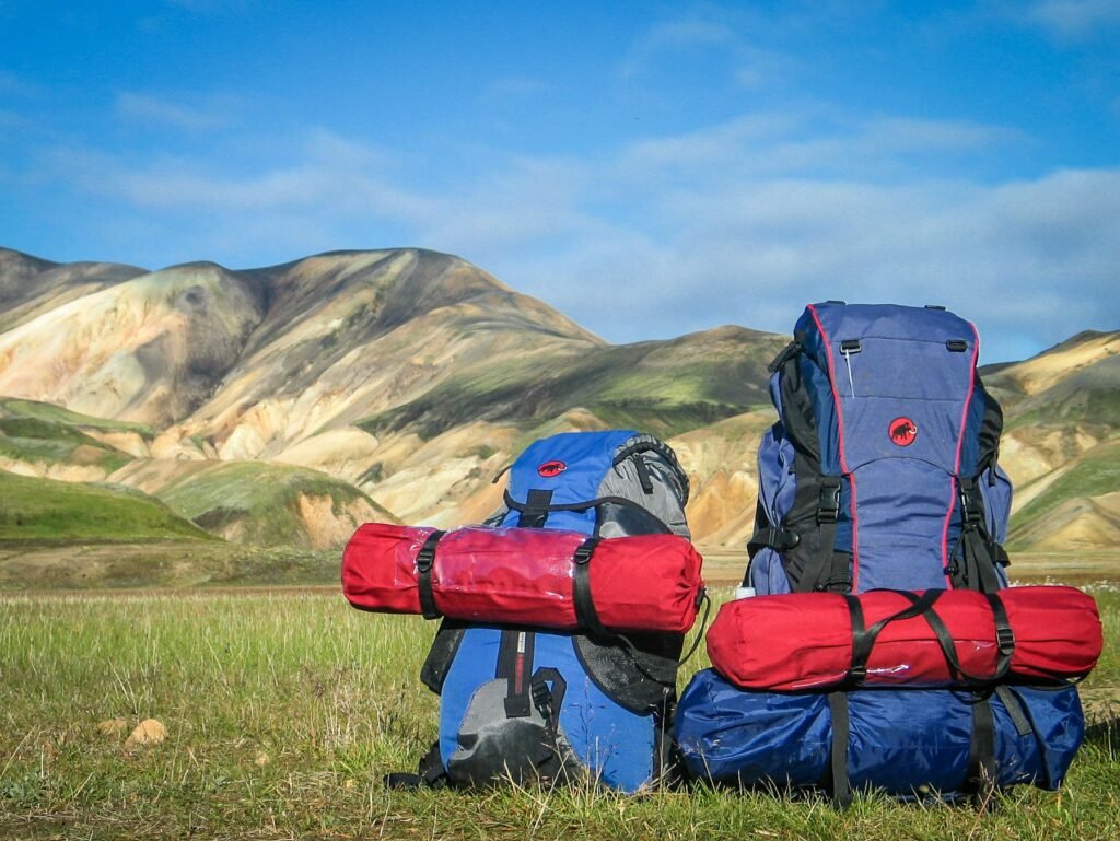 Two hiking backpacks resting on grass with mountains behind